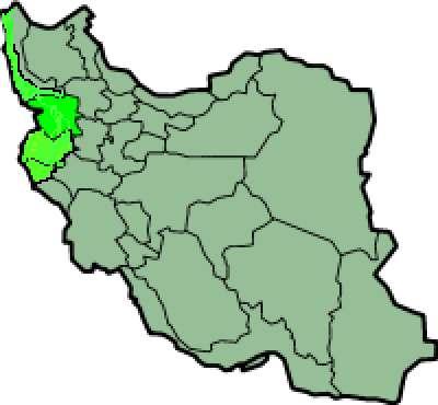 iran kürtleri