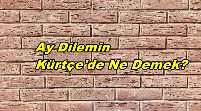 Ay Dilemin Kürtçe’de Ne Demek?