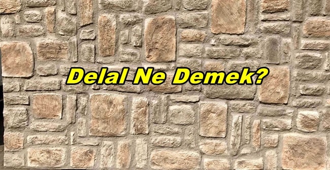 Kürtçede Delal Ne Demek?