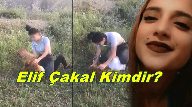 Elif Çakal Kimdir? Nerelidir? Kim Tarafından Öldürüldü?