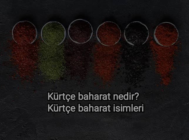 Kürtçe Baharat Ne Demek? Kürtçe Baharat İsimleri