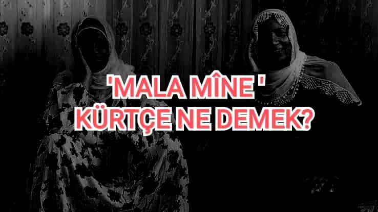 Mala Mîne Kürtçe Ne Demek?