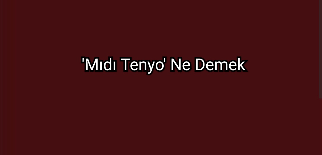 Kürtçe Mıdı Tenyo Ne Demek?